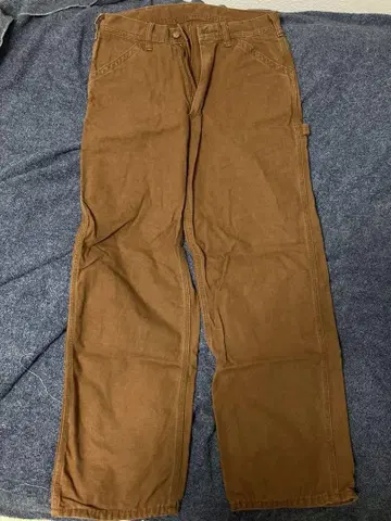 Lee 페인터 팬츠 브라운