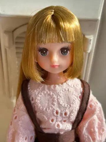 리카짱 캐슬 아키짱