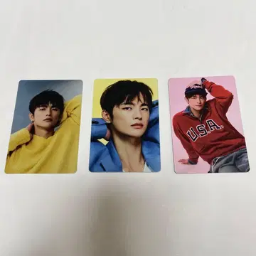 새상품 공식 [ SIGNAL ]  트레이딩 카드 3종