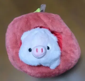 사과 안에 들어있는 돼지 봉제 인형