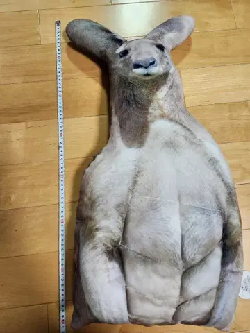 리얼 캥거루 쿠션 약 70cm