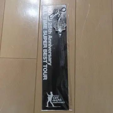 호테이 25주년 기념 스트랩