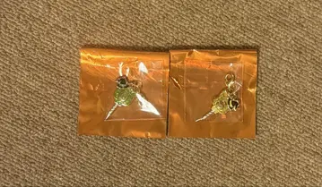 우라시마사카타센 키링 할로파 혜택