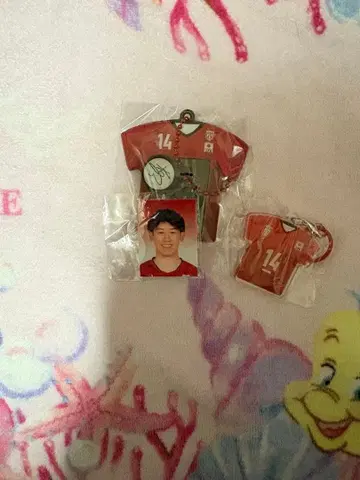 배구 남자 일본 대표 가챠가챠