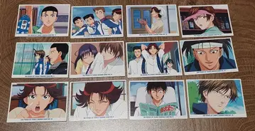 테니스의 왕자님 테니프리 트레이딩 카드 청학 12장 세트