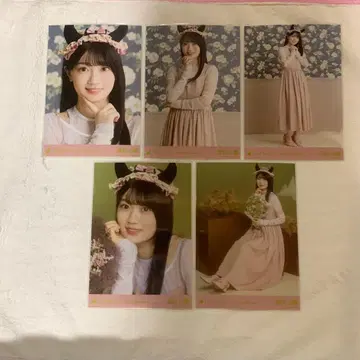 노기자카46 생사진 아타고 코쿄 할로윈 2025 Halloween 5종