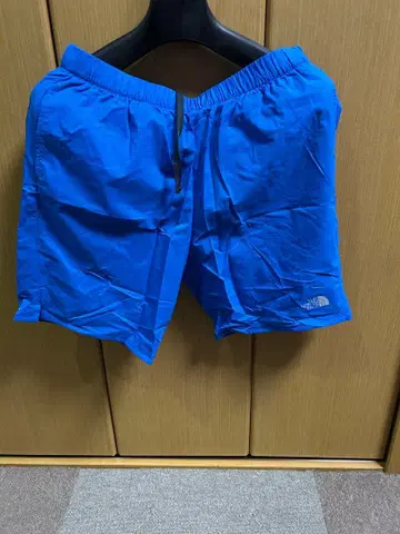 THE NORTH FACE 파란색 숏팬츠 M