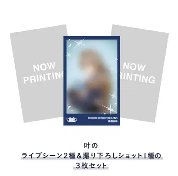 카나 요코하마 공연 폴라로이드풍 카드 세트