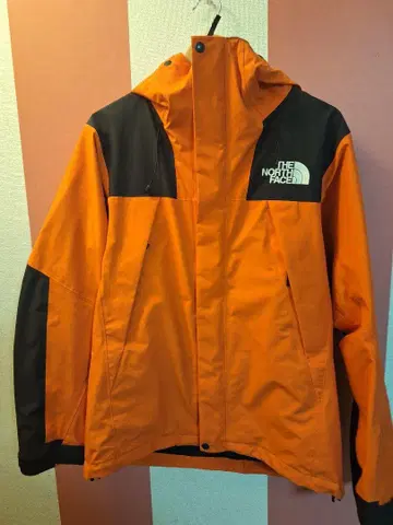 THE NORTH FACE 마운틴 자켓