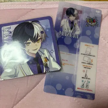 AMPTAK x COLORS 빅에코 콜라보 마제타