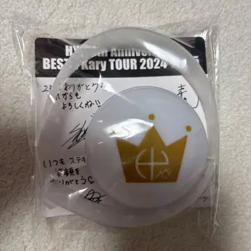 HY Kary TOUR 응원봉