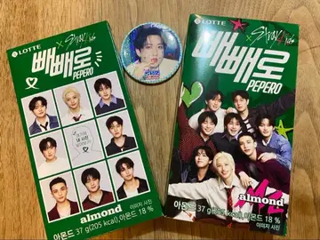 페페로 stray kids 창빈 캔뱃지