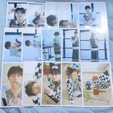 초특급 알로하 생탄 브로마이드 세미 컴플리트 세트 15장 시크릿 포함