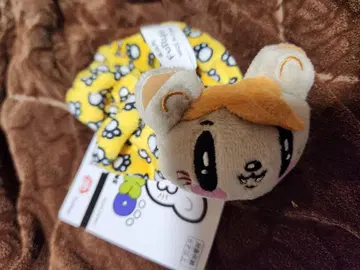 제 고양이 스크런치 GENERATIONS 카타요세 료타