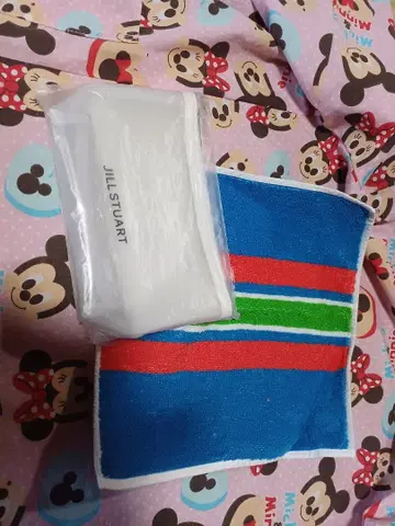 JILL STUART, 부록 파우치. 스트라이프 핸드 타월