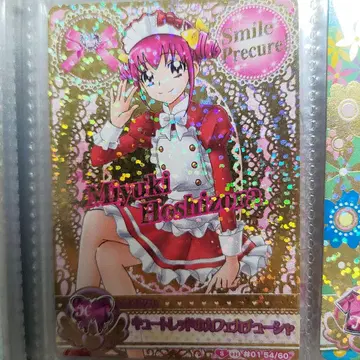 프리큐어 데이터 카드더스 호시조라 미유키