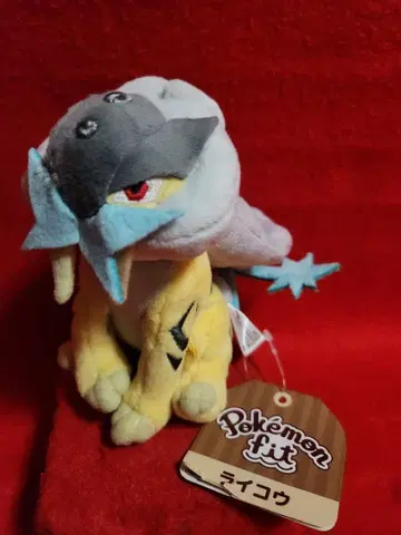 포켓몬 센터 봉제 인형 라이코우 핏 포켓몬 fit