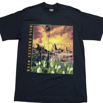 90s EAGLES 티셔츠 이글스 XL USA 구제 의류