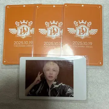 [ 팬더드래곤 ] 요우타 하피카 트레이딩 카드 [ 파라곤 ]