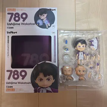 하이큐 우시지마 와카토시 넨도로이드 789