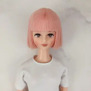 리카짱 캐슬 제니 프렌드 시온