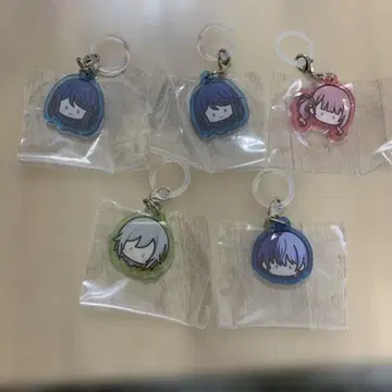 프로세카 메지루시 참 묶음 판매