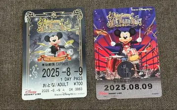 기사용 리조트 라인 프리 티켓 BBB 디즈니 TDL TDS