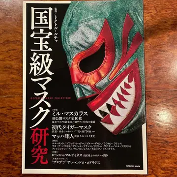 국보급 마스크 연구