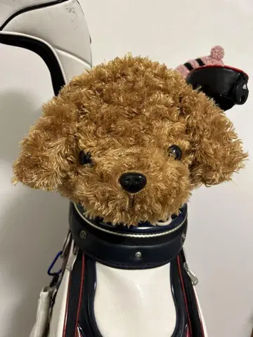 토이 푸들 아이언 커버