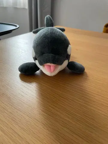 나고야항 수족관 범고래 봉제 인형