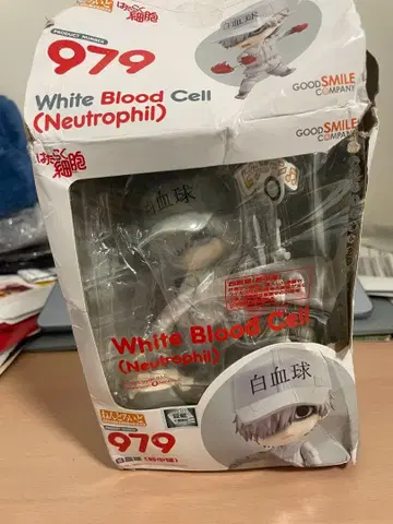 넨도로이드 979 일하는 세포 백혈구 호중구