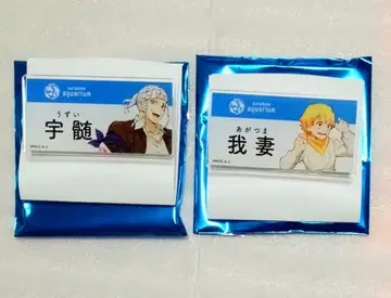 귀멸의 칼날 선샤인 수족관 네임 배지 우즈이 젠이츠