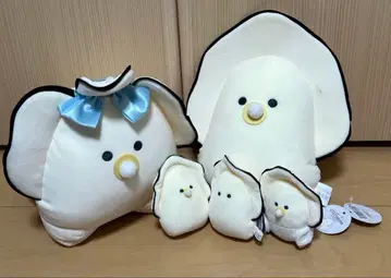 동그란 눈 시리즈 생굴 5세트