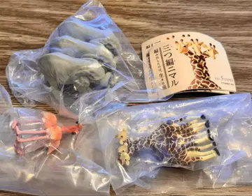 트위스트 말 팬더의 구멍 트위스트 기린 트위스트 코끼리 트위스트 플라밍고