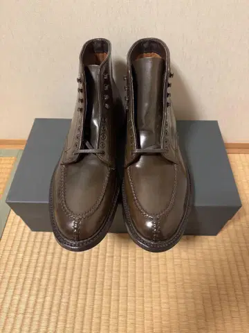 9.5E Alden Cigar Cordovan Tanker Boots