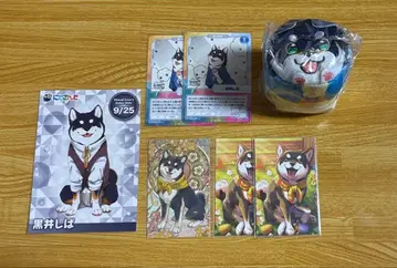 니지산지 쿠로이 시바 세트