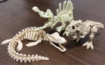 공룡 골격 모형 3개 세트 3D 프린트