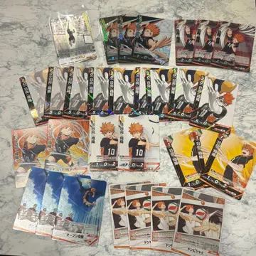 하이큐!! 바보카!! BREAK 히나타 쇼요 30장 세트