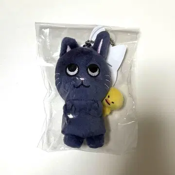 RIIZE 발렌타인 md 토냥덕 10cm 원빈