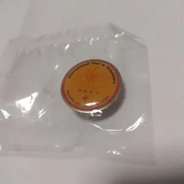 2001년 국제 자원봉사자의 해 핀 배지