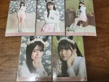 세토구치 신츠키 Halloween 2025 노기자카46 브로마이드