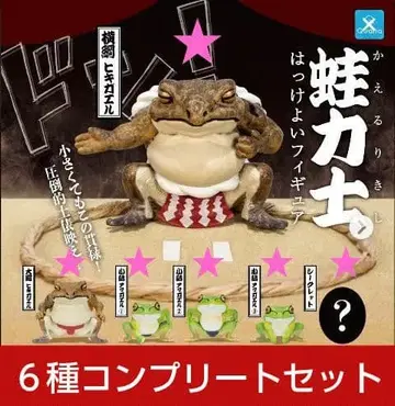 개구리 스모 선수 핫케요이 피규어 컴프 세트 시크릿 포함 미개봉 새상품