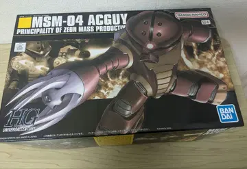 HG MSM-04 ACCGY 아가이 프라모델