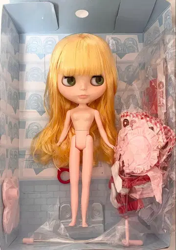 브라이스 도넛 본체 세트 네오 브라이스 인형 중고