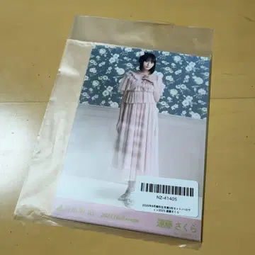 노기자카46 5종 브로마이드 할로윈 2025 엔도 사쿠라