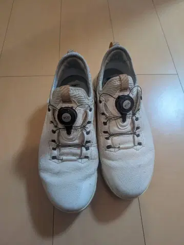 ECCO X-TRINSIC 골프화 화이트