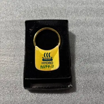 HYDRO 칼데치소 키링 레어 잡화 D