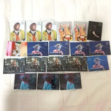 미세스 후지사와 료카 피요르드 포토 카드 fjord