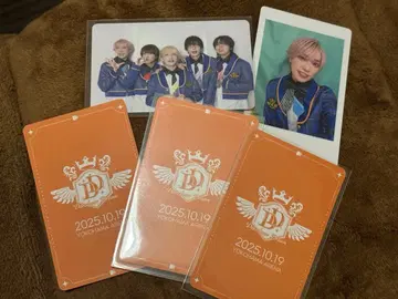 팬더드래곤 하피카 트레이딩 카드