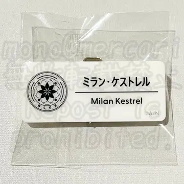 니지산지 밀란 케스트렐 니지 페스티벌 2025 네임 배지